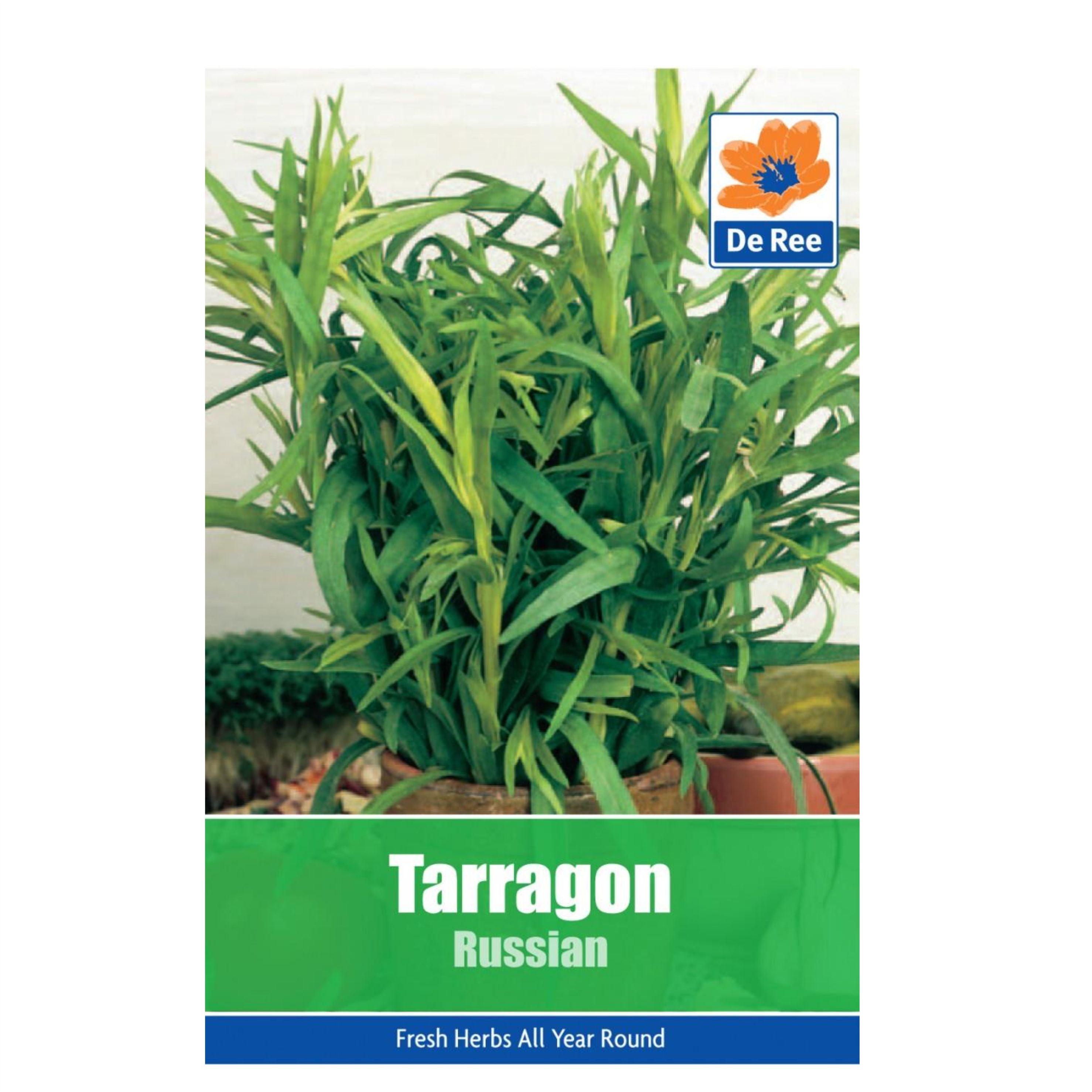 Tarragon