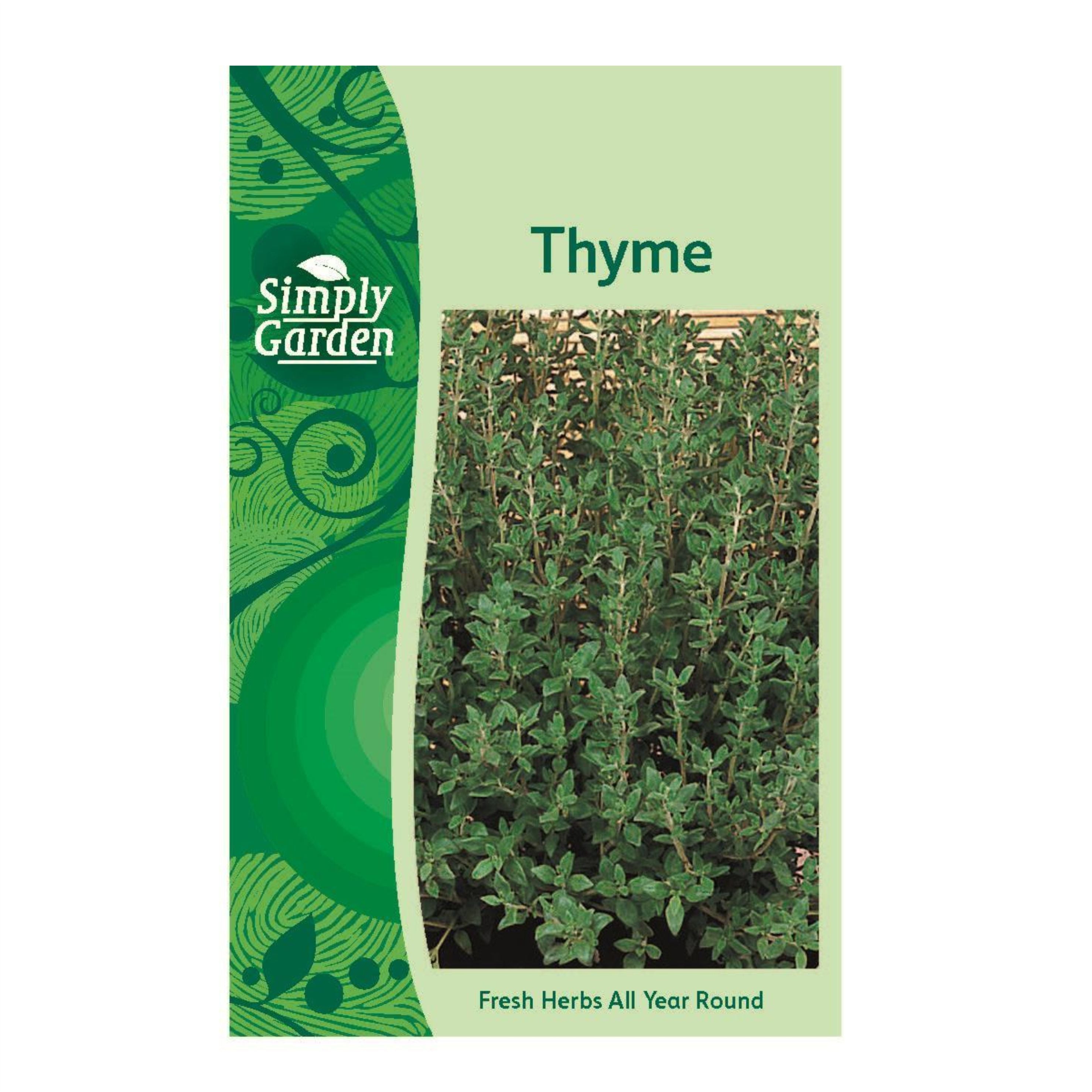 Thyme