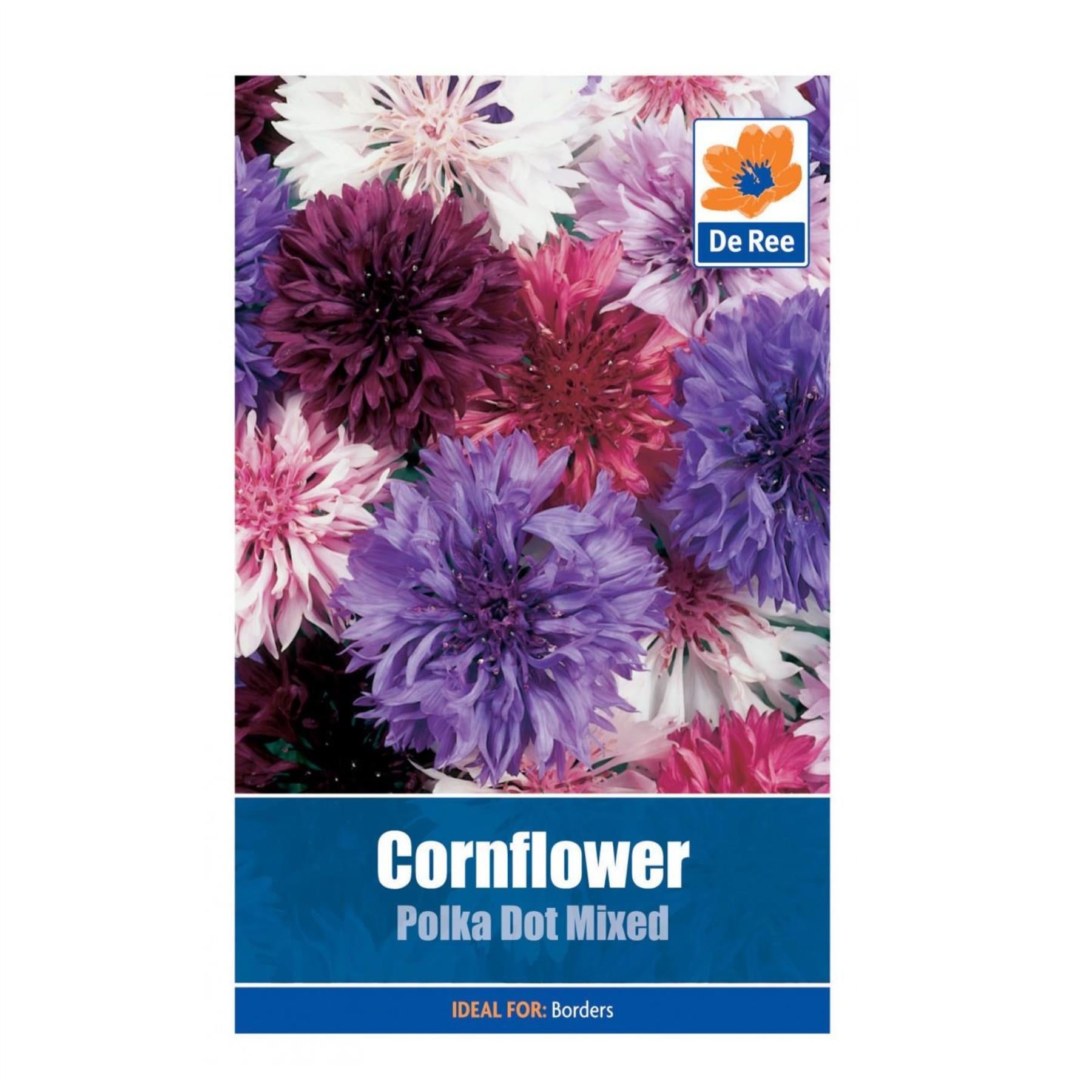 Cornflower Polka Dot