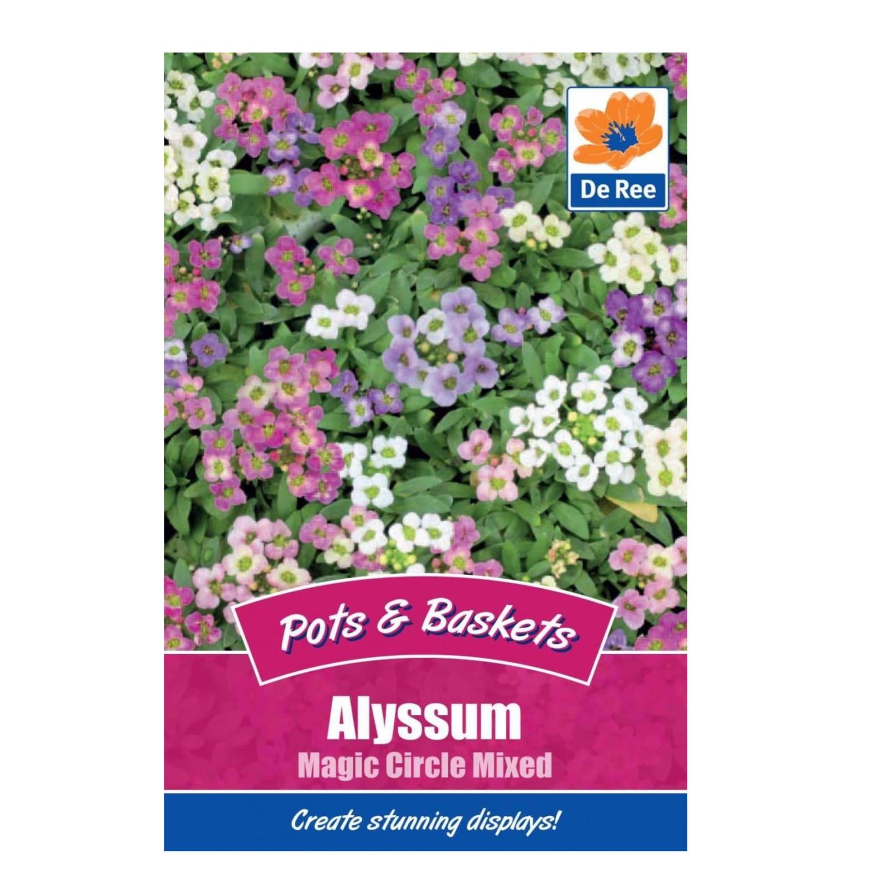 Alyssum Magic Circle Mixed