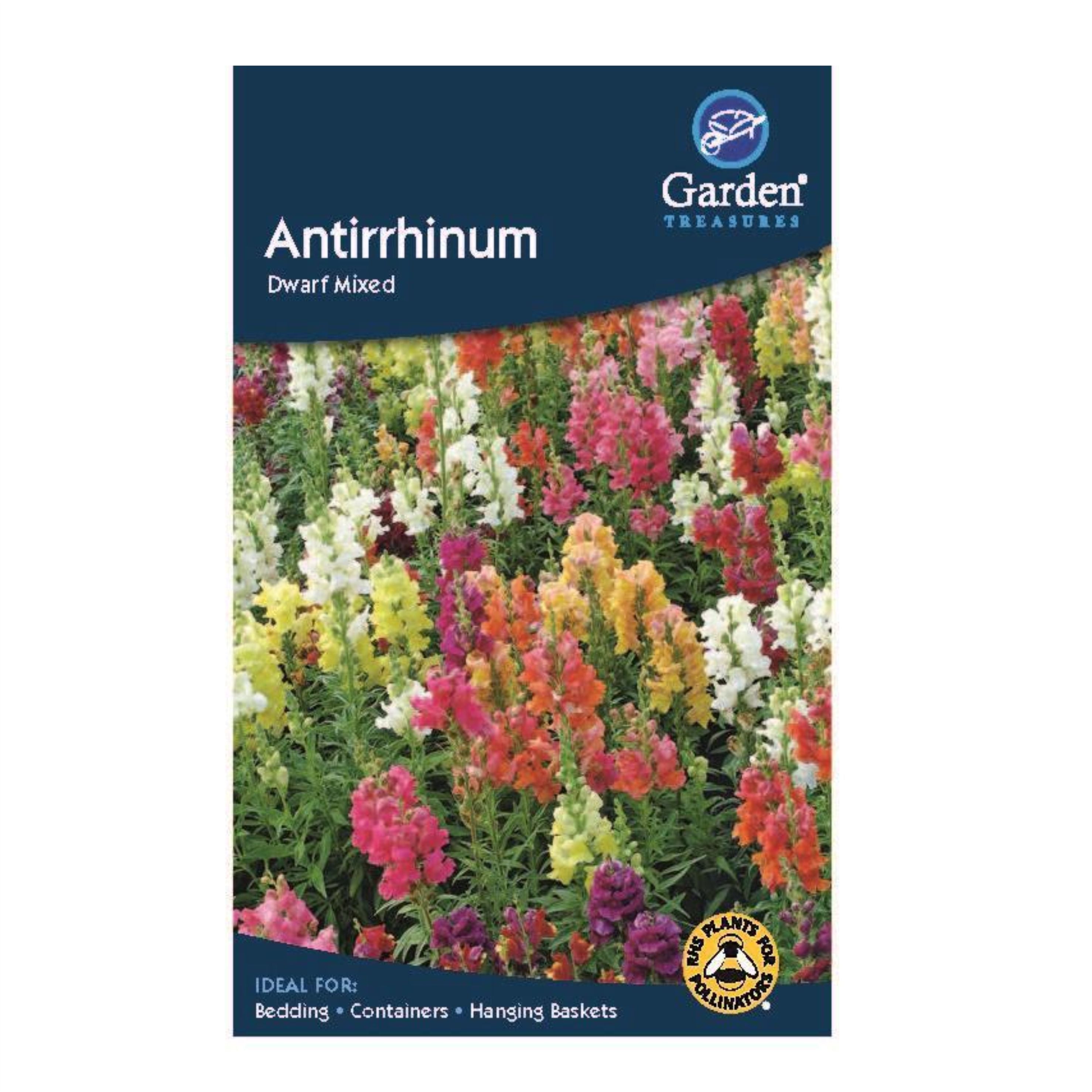 Antirrhinum Dwarf Mixed