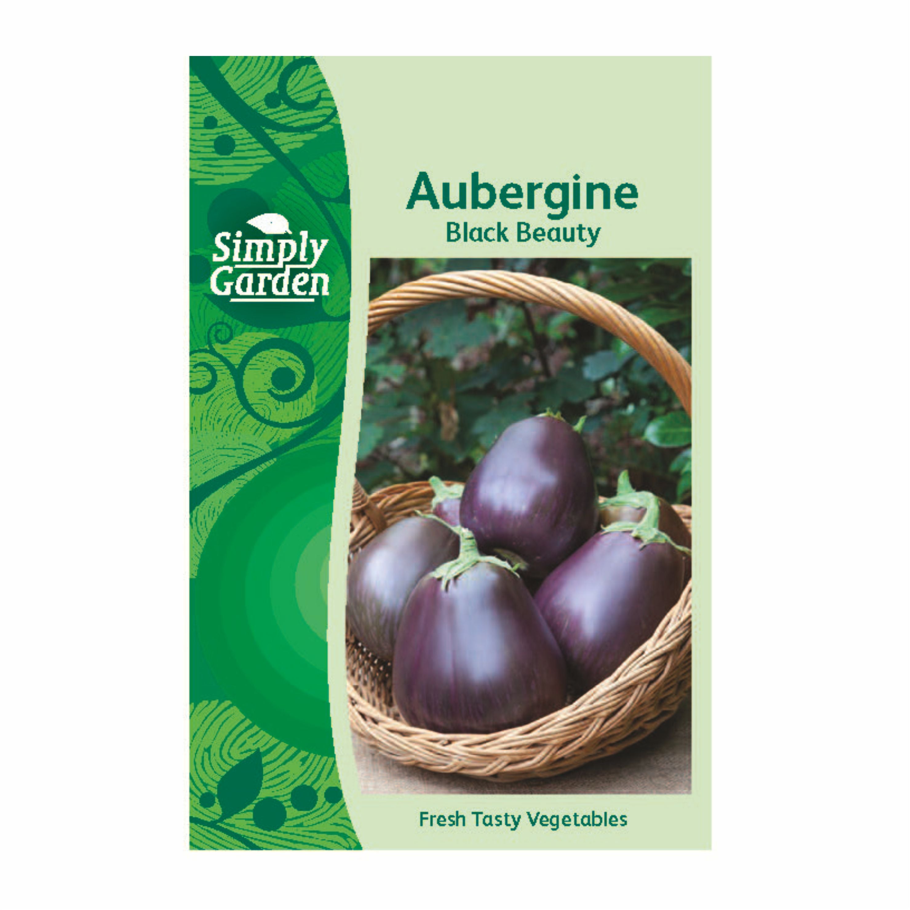 Aubergine Black Beauty