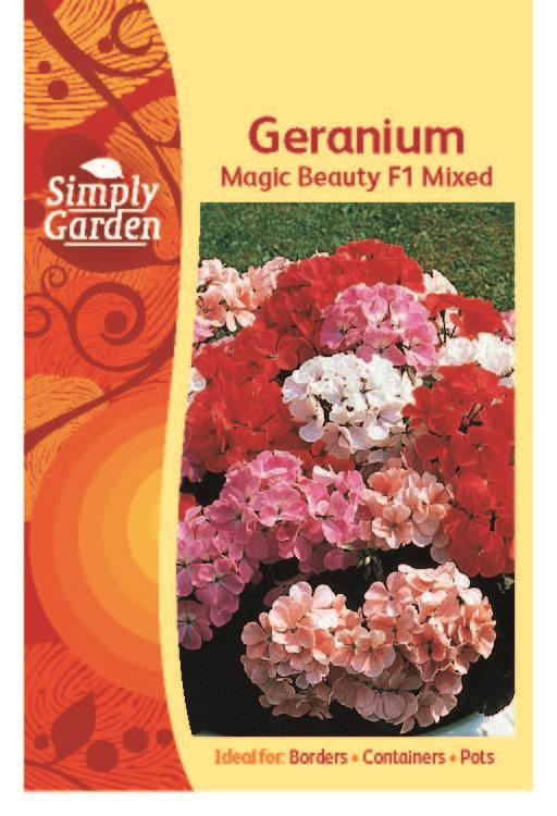 Geranium Magic Beauty Mixed