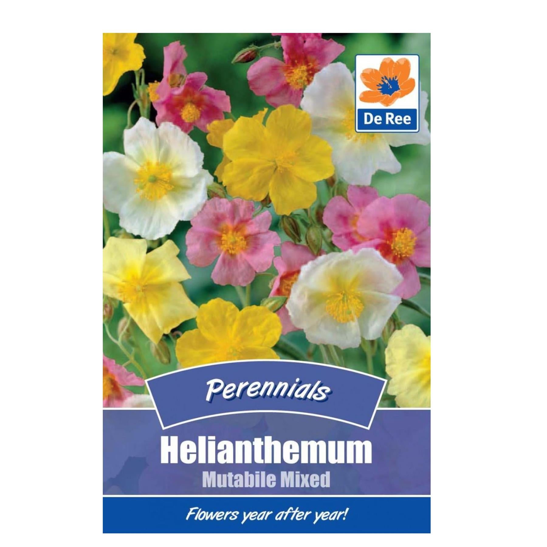 Helianthemum Mutabile