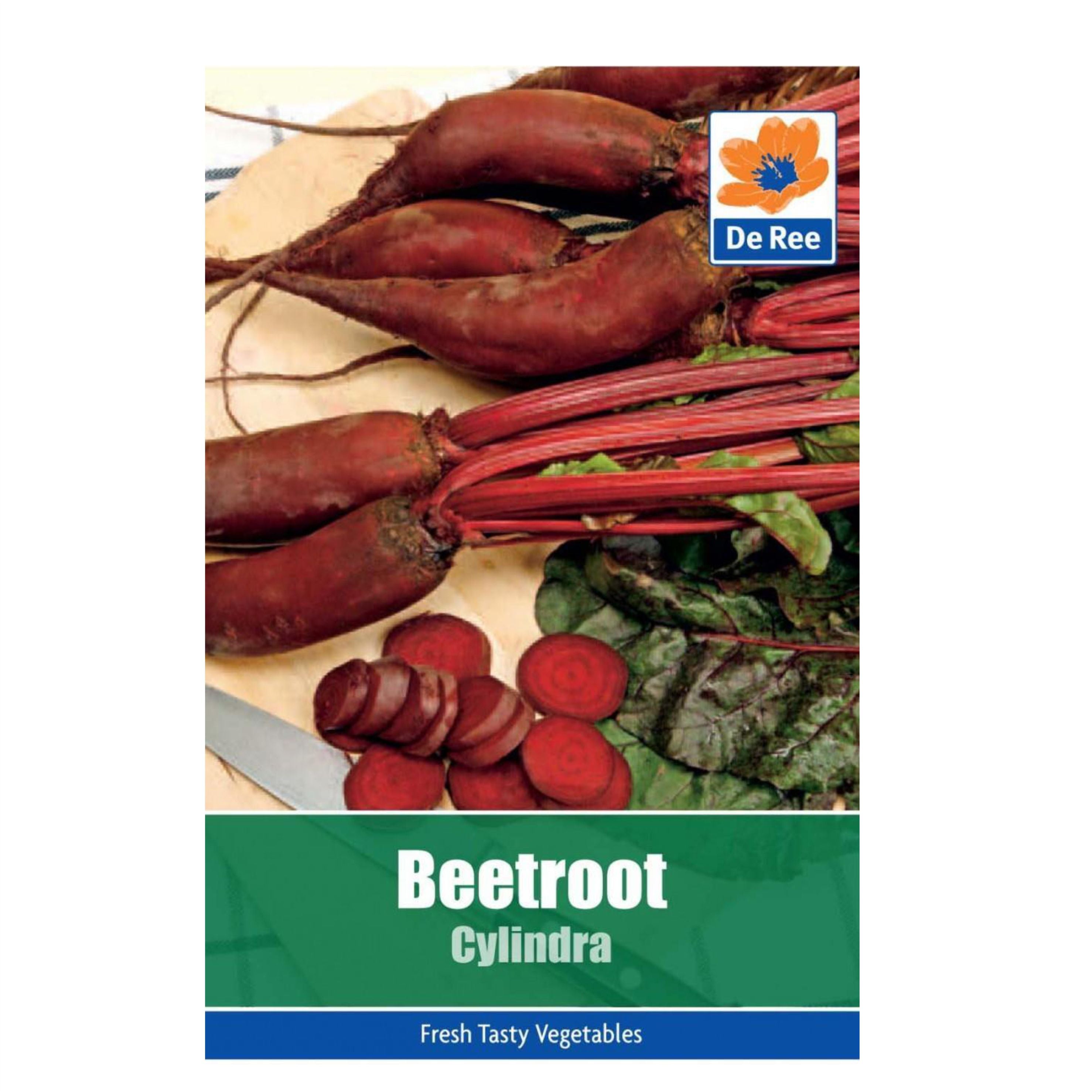 Beetroot Cylindra