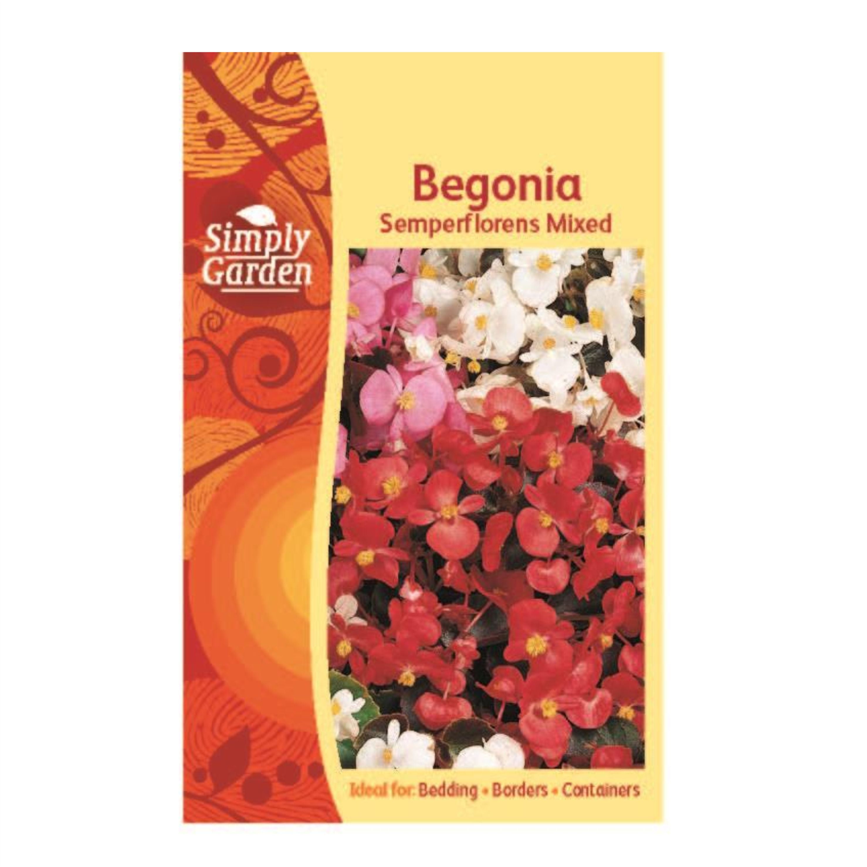 Begonia Semperflorens Mixed