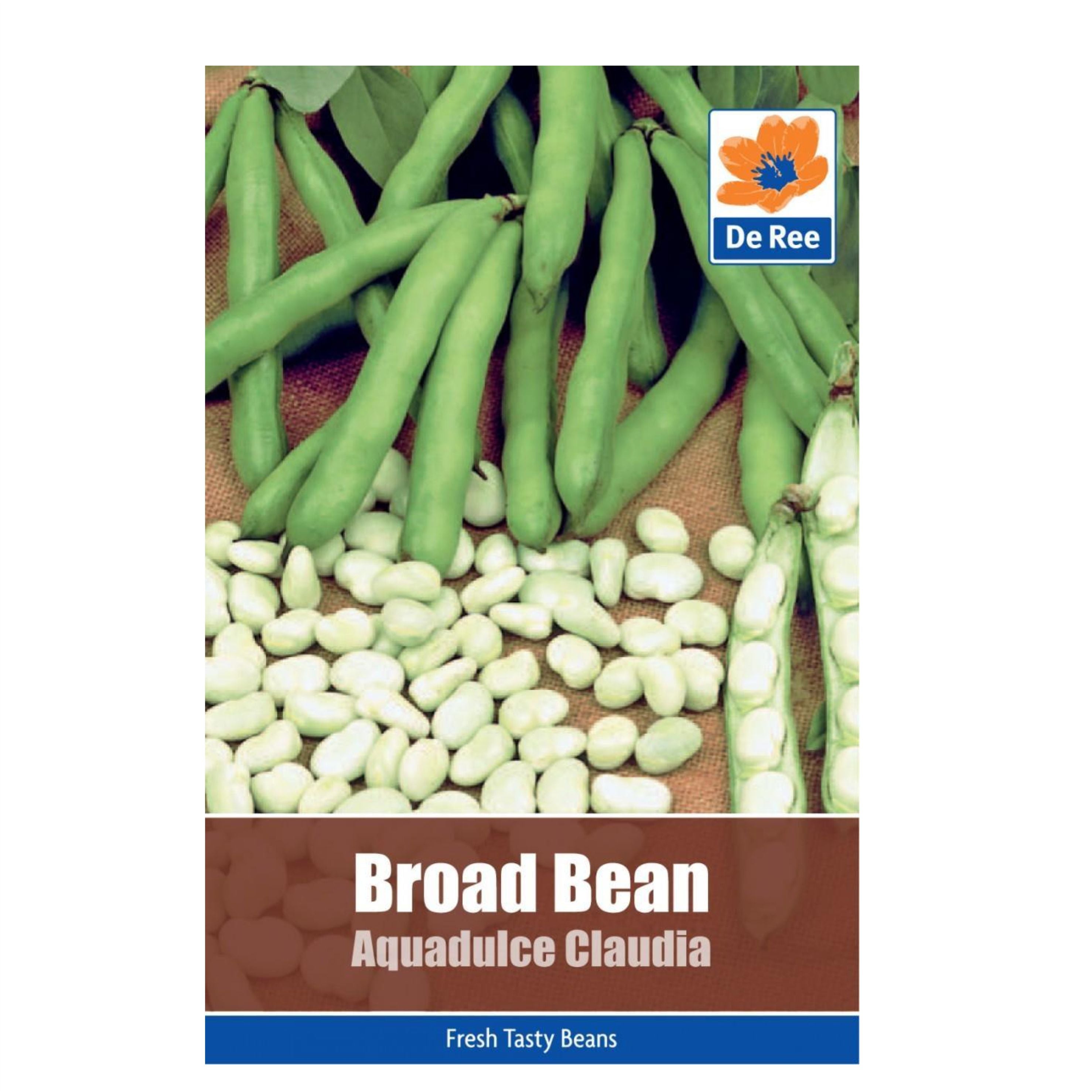 Broad Bean Aquadulce Claudia