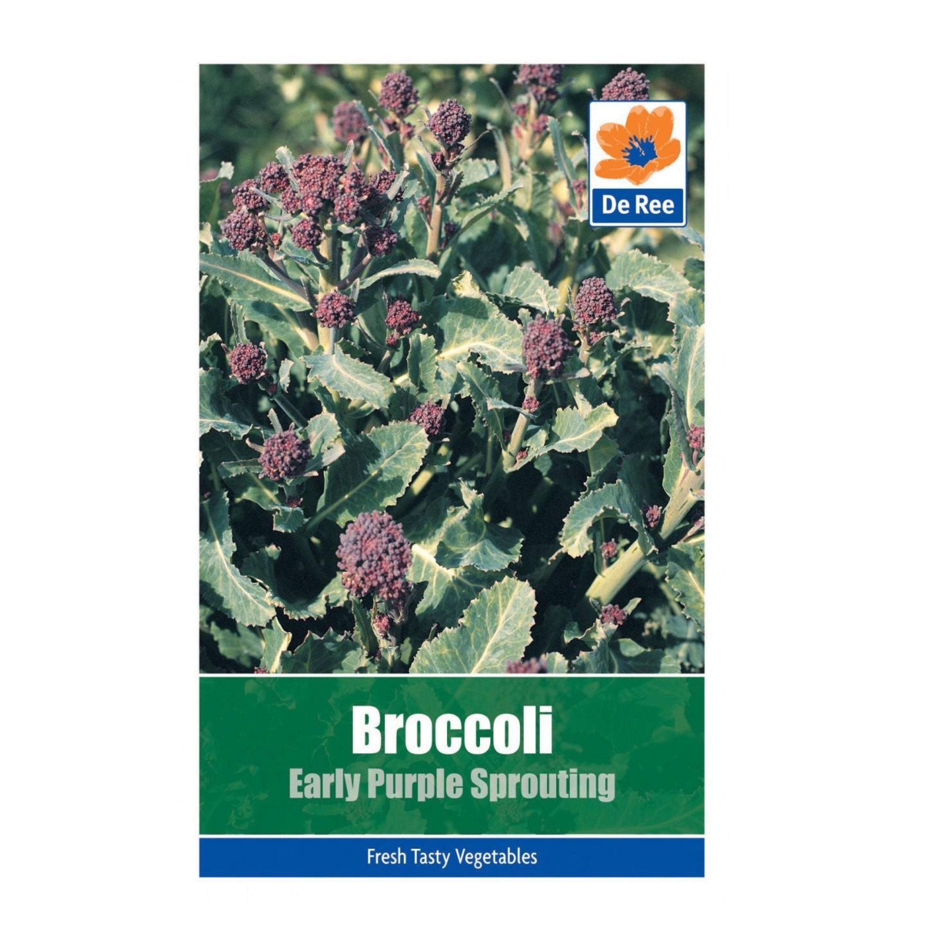 Broccoli Early Purple Sprouting