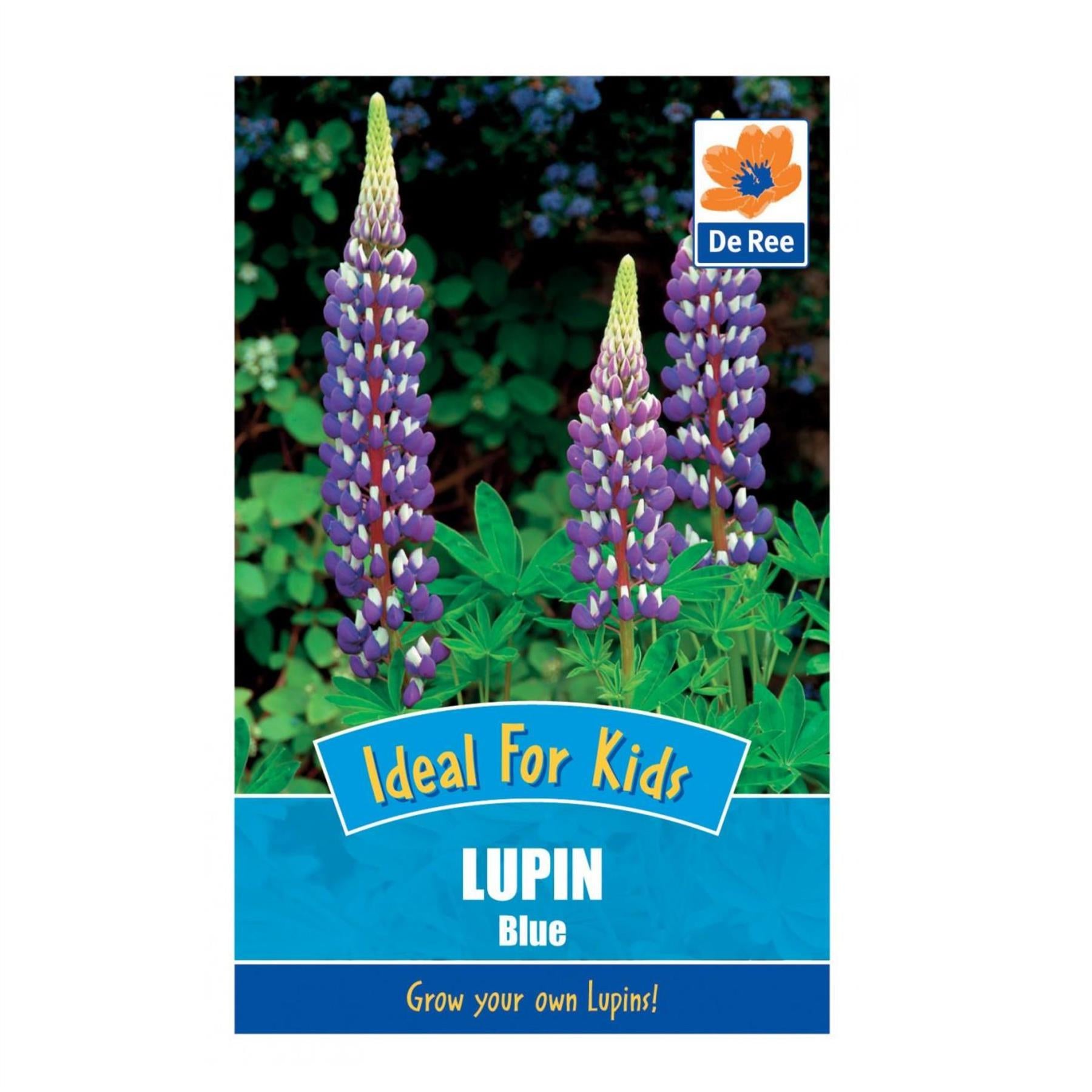 Lupin Blue