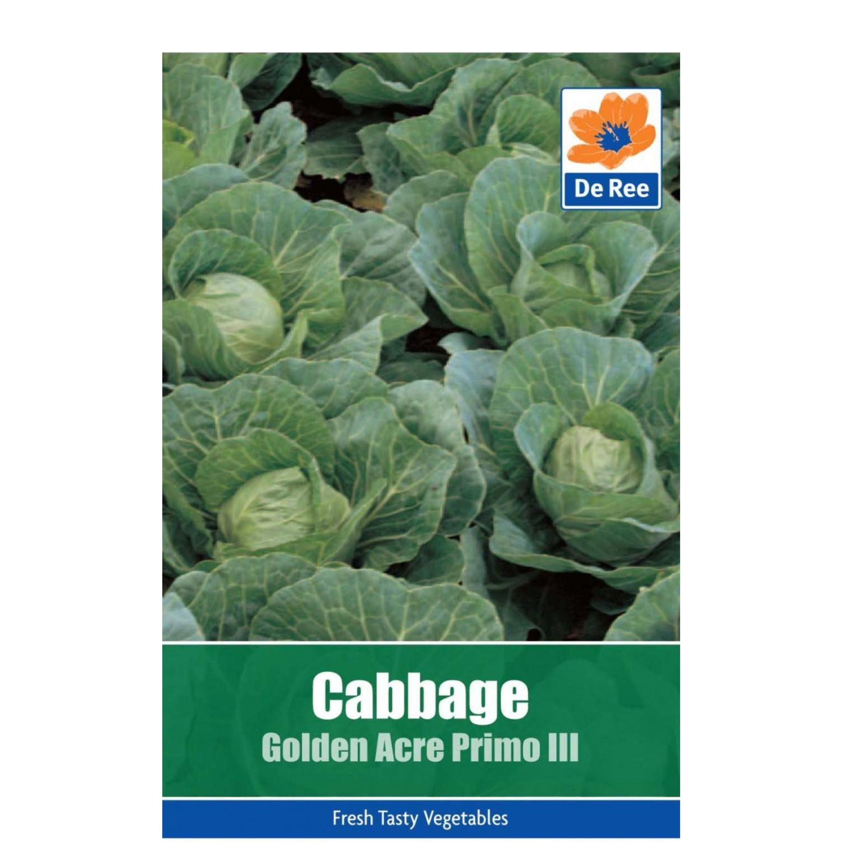 Cabbage Golden Acre Primo