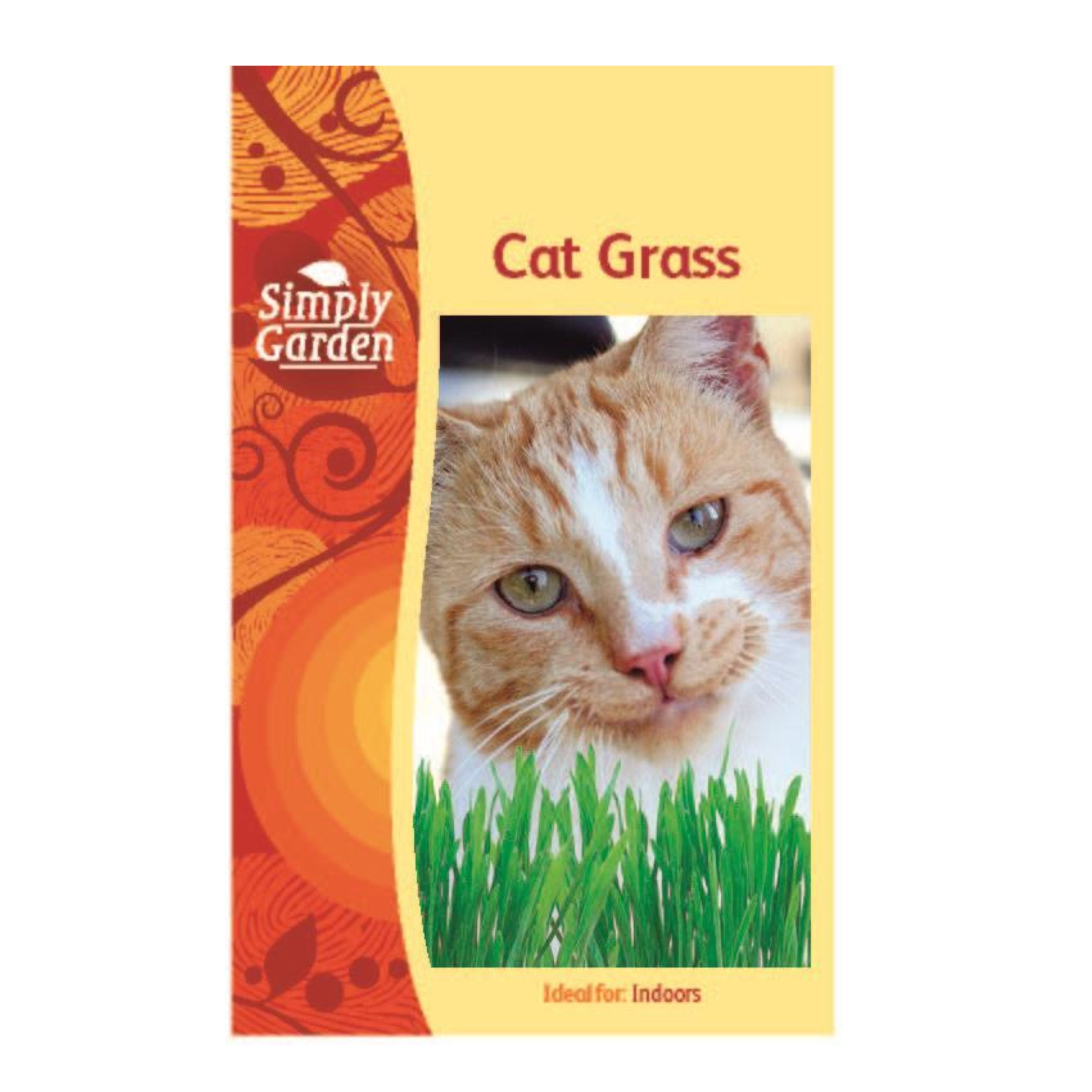 Cat Grass