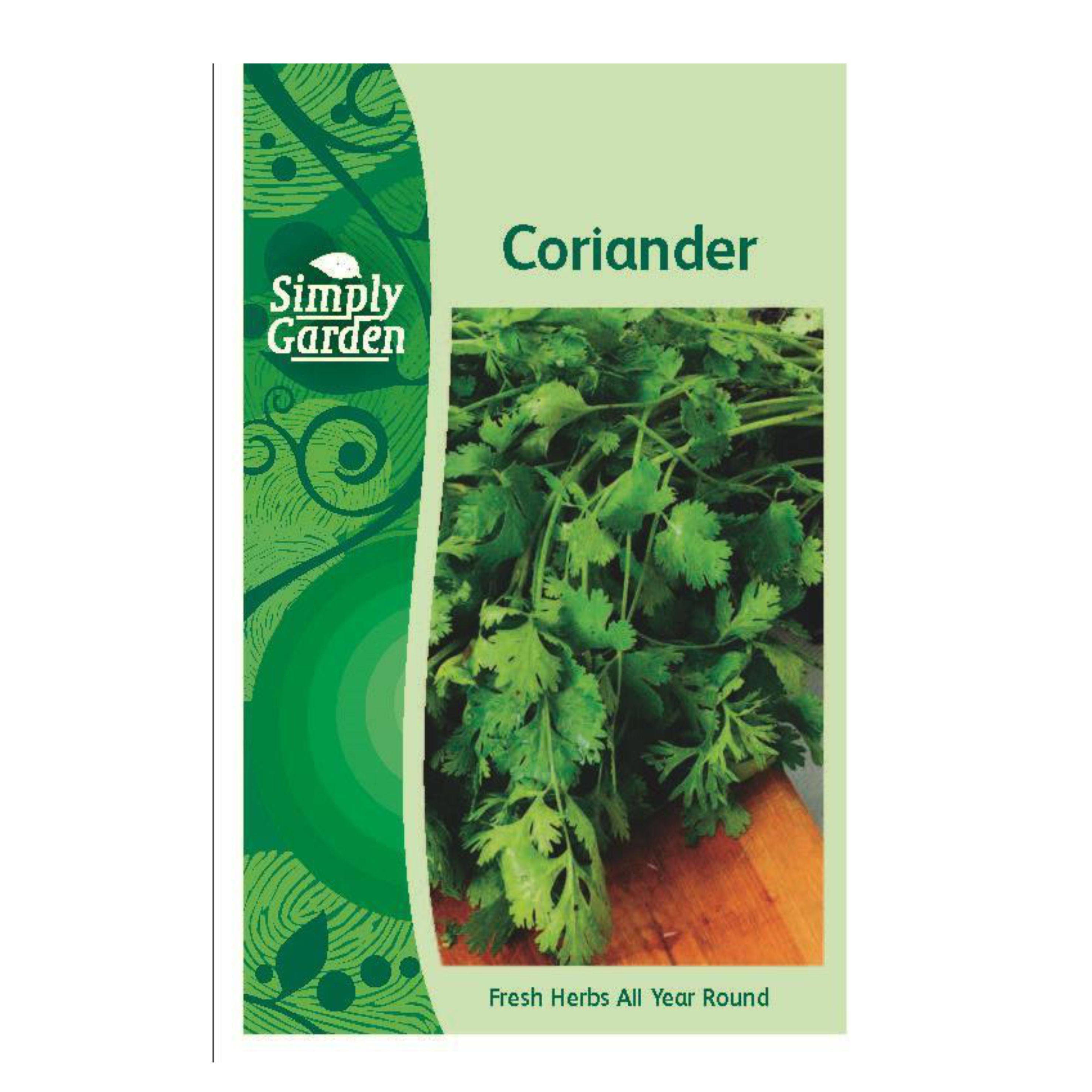 Coriander