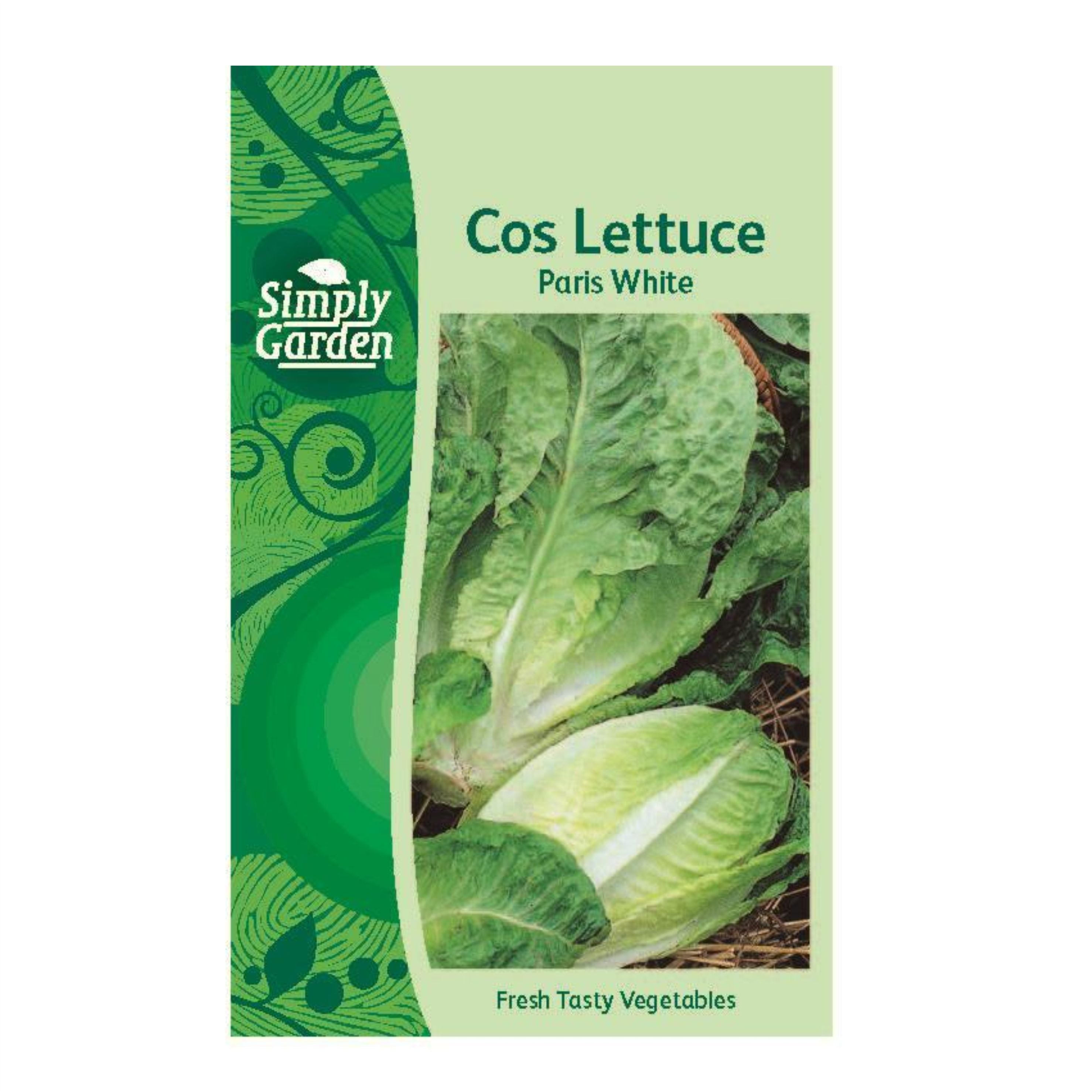 Cos Lettuce Pattern Paris White Cos Lettuce: Nutrient-Packed Salad Green with Urban Flair