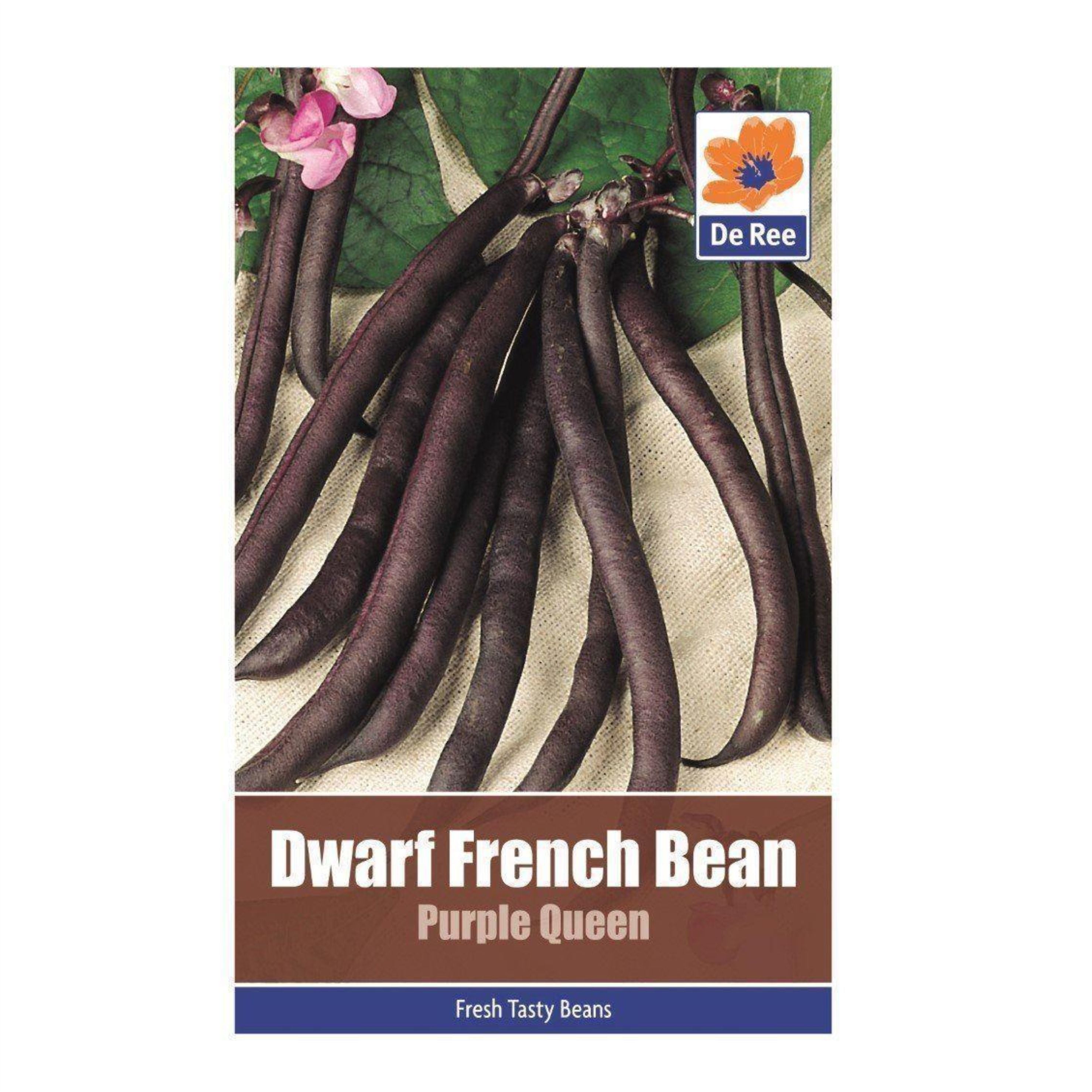 Dwarf French Bean Purple Queen