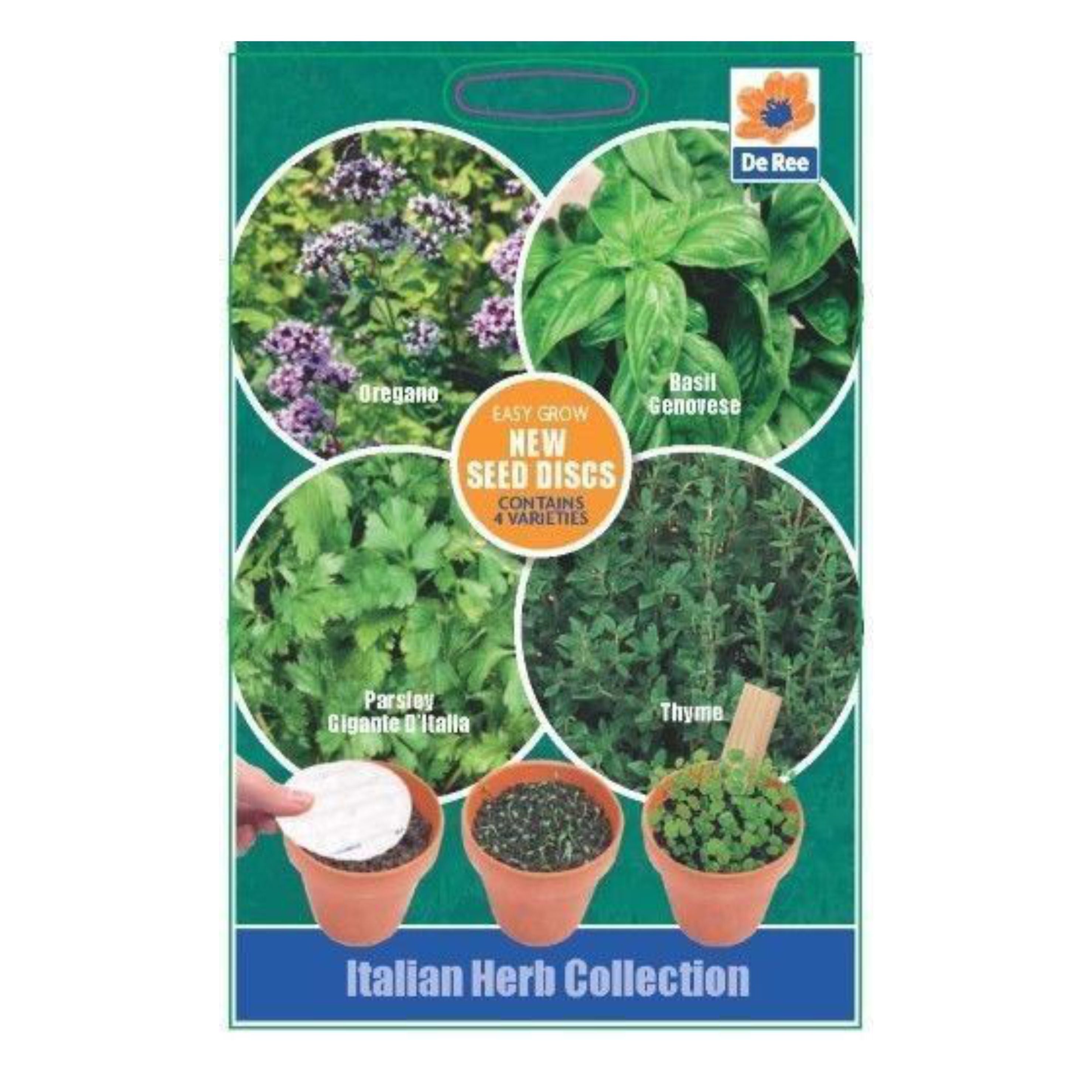 Italian Herb Seeds 4x Variety Disks Oregano Parsley Gigante D Italia Basil Genovese Thyme