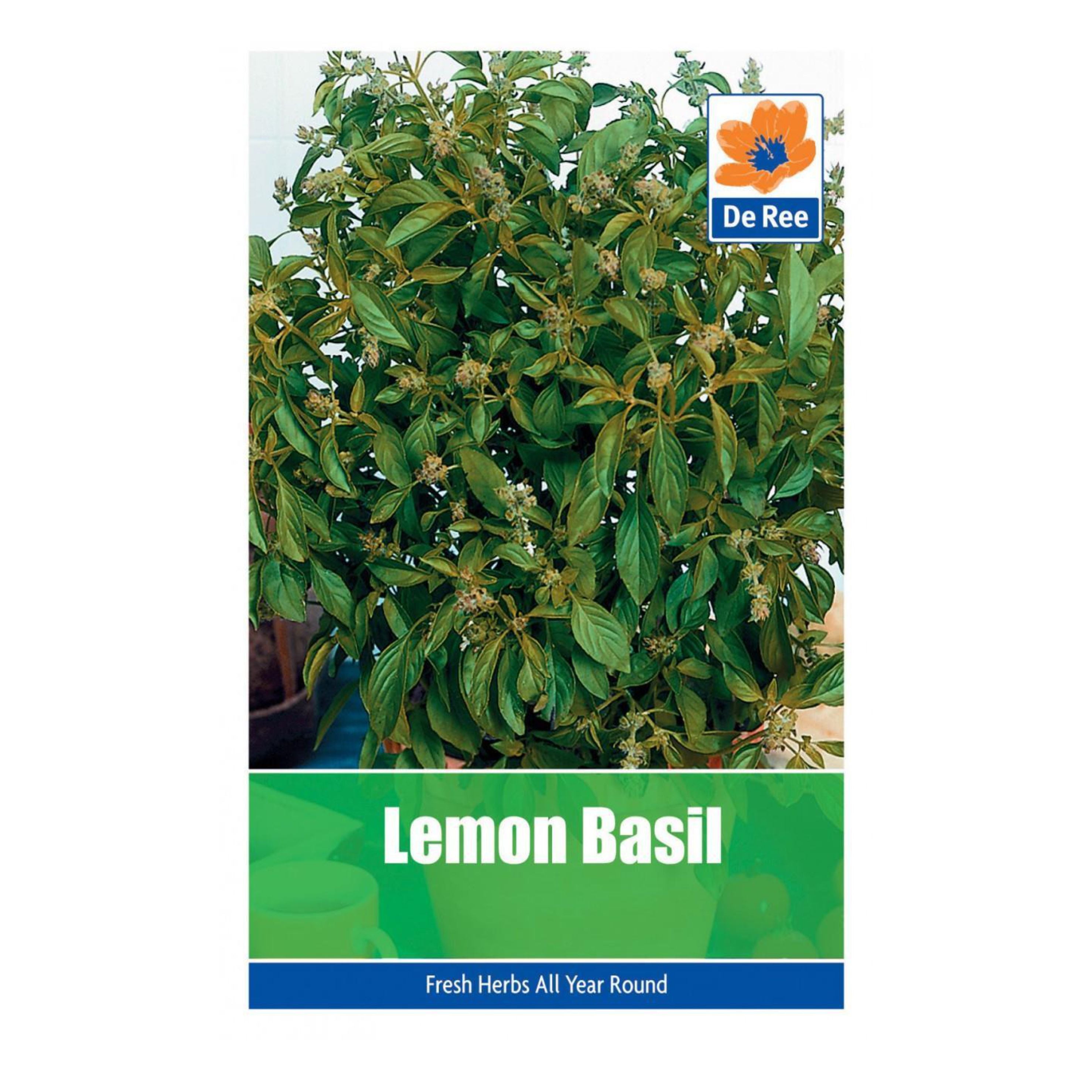 Lemon Basil