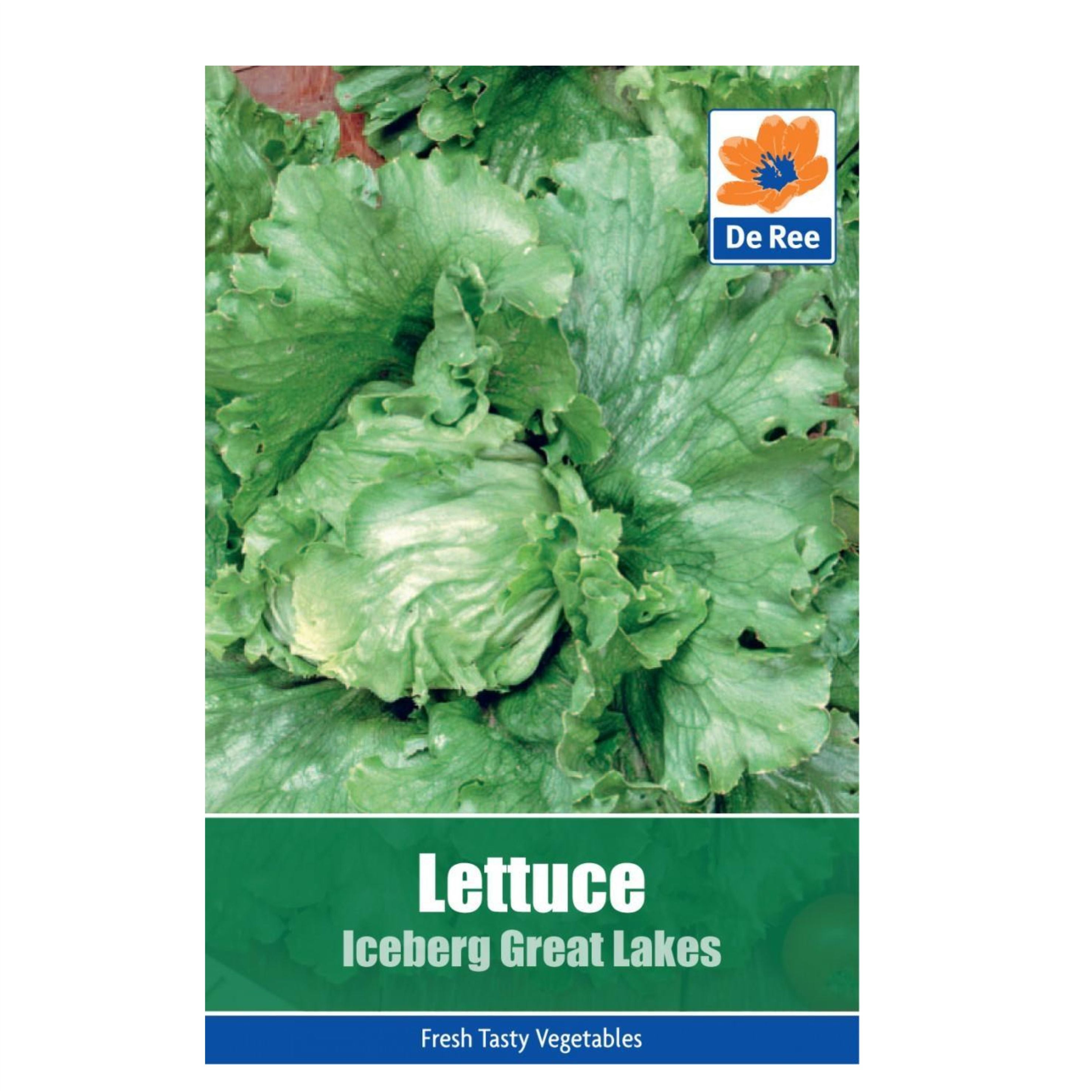 Lettuce Iceberg Great Lakes