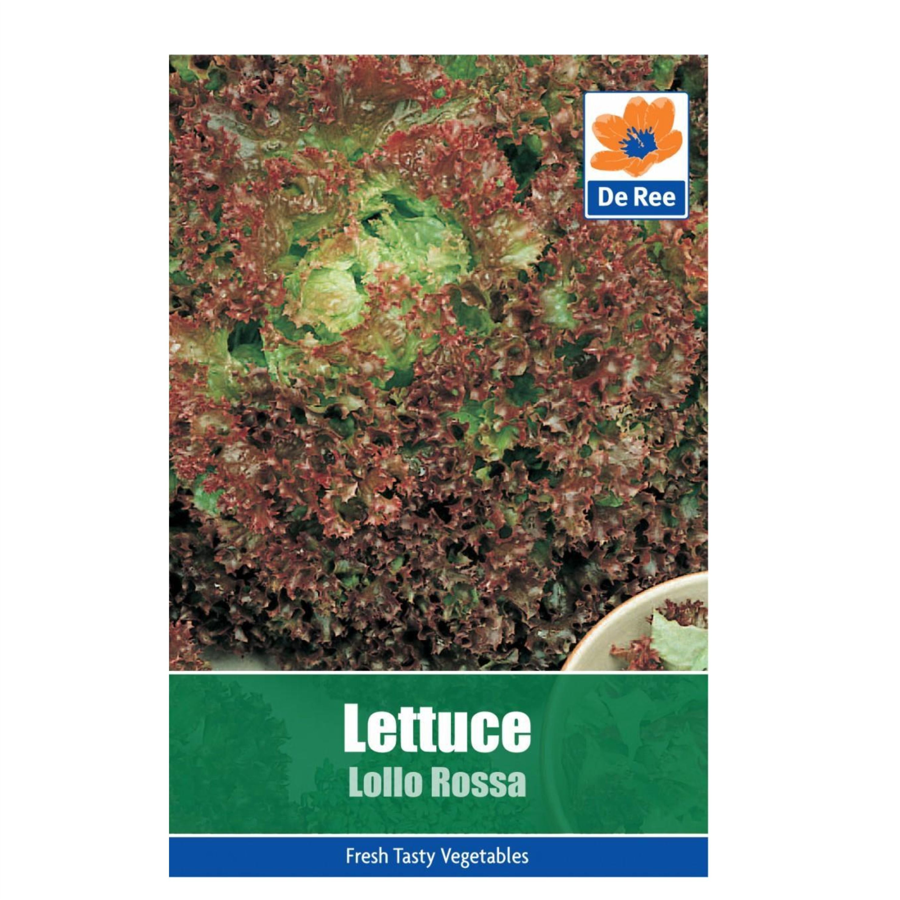 Lettuce Lollo Rossa