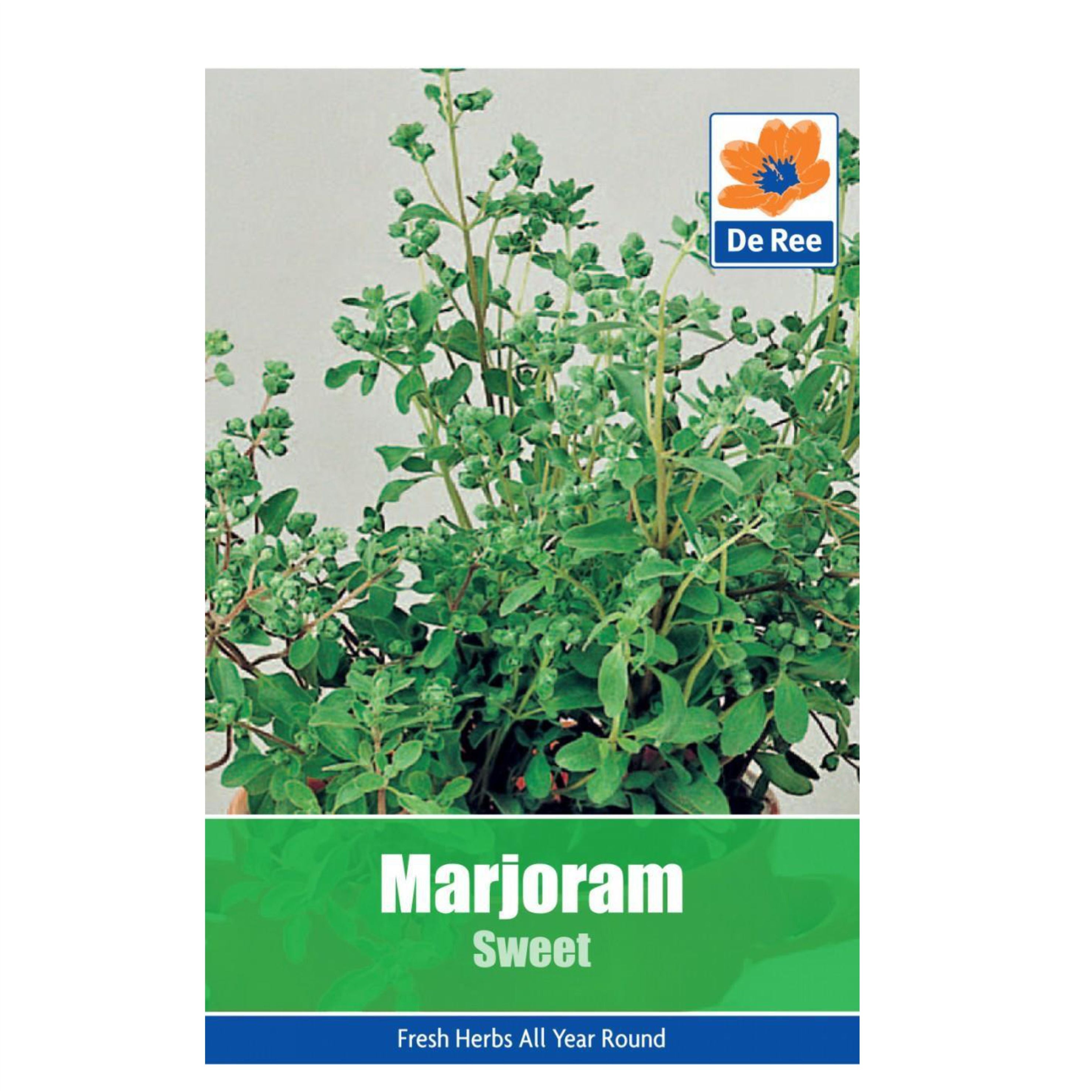 Marjoram Sweet