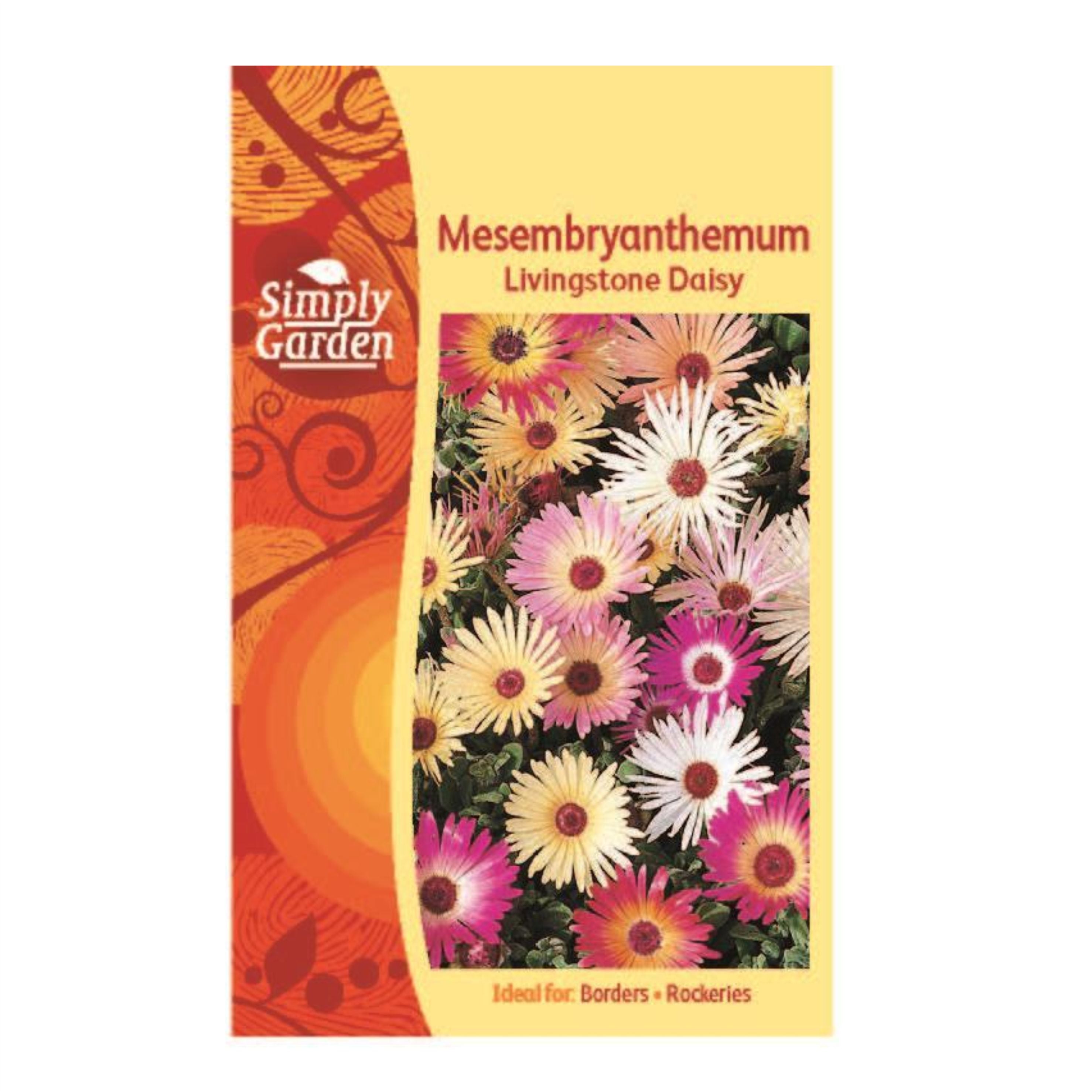 Mesembryanthemum Livingstone Daisy