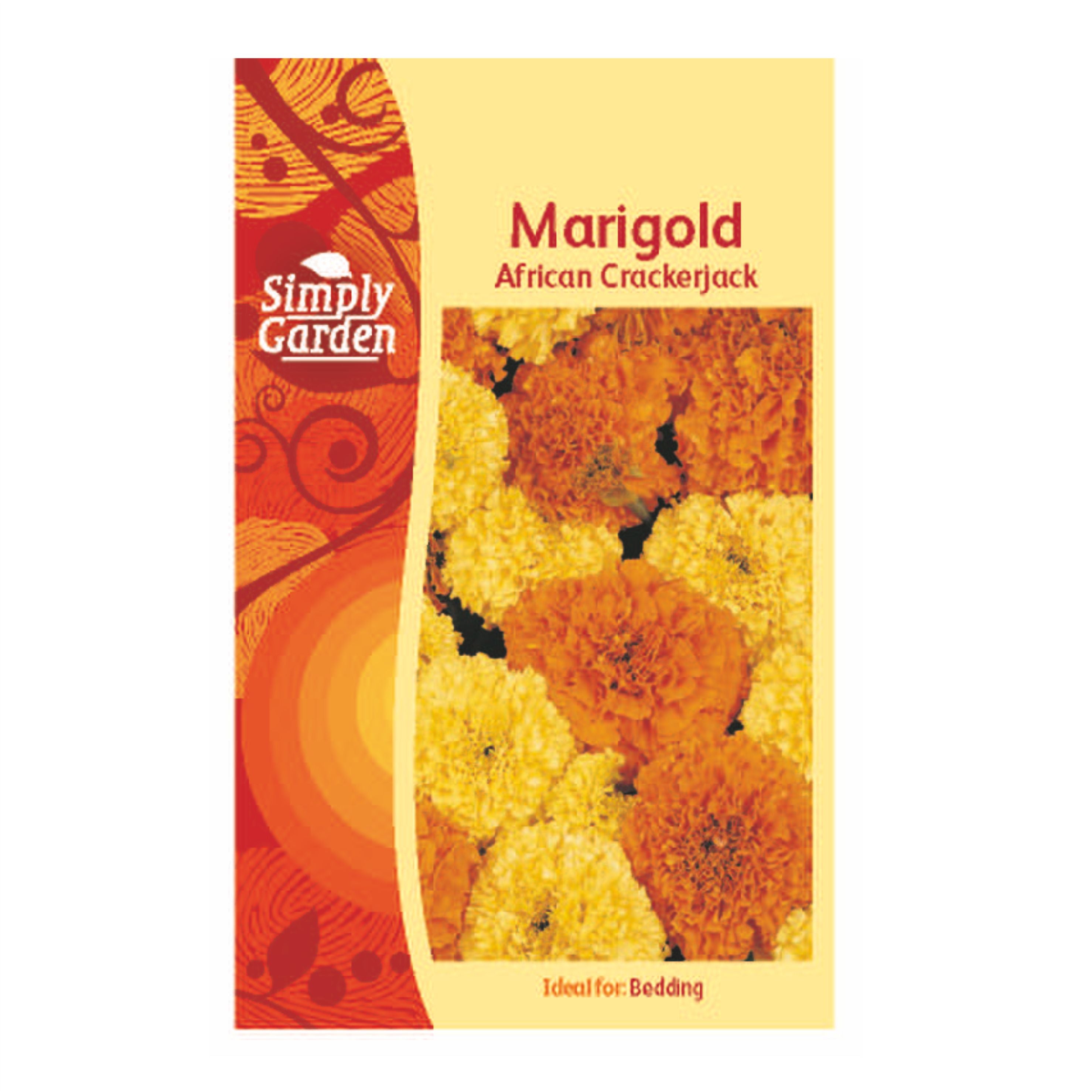 Marigold African Crackerjack