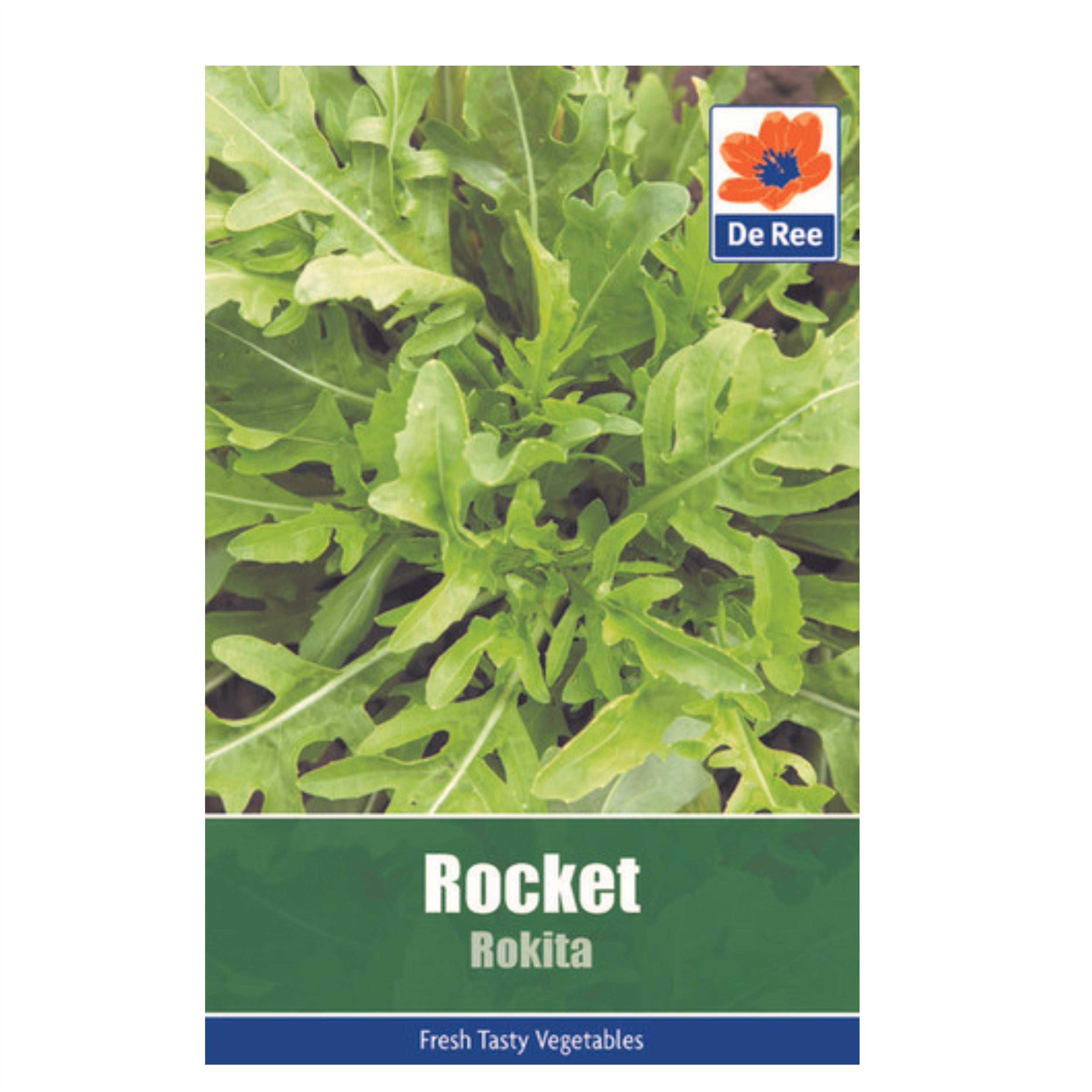 Rocket Rokita