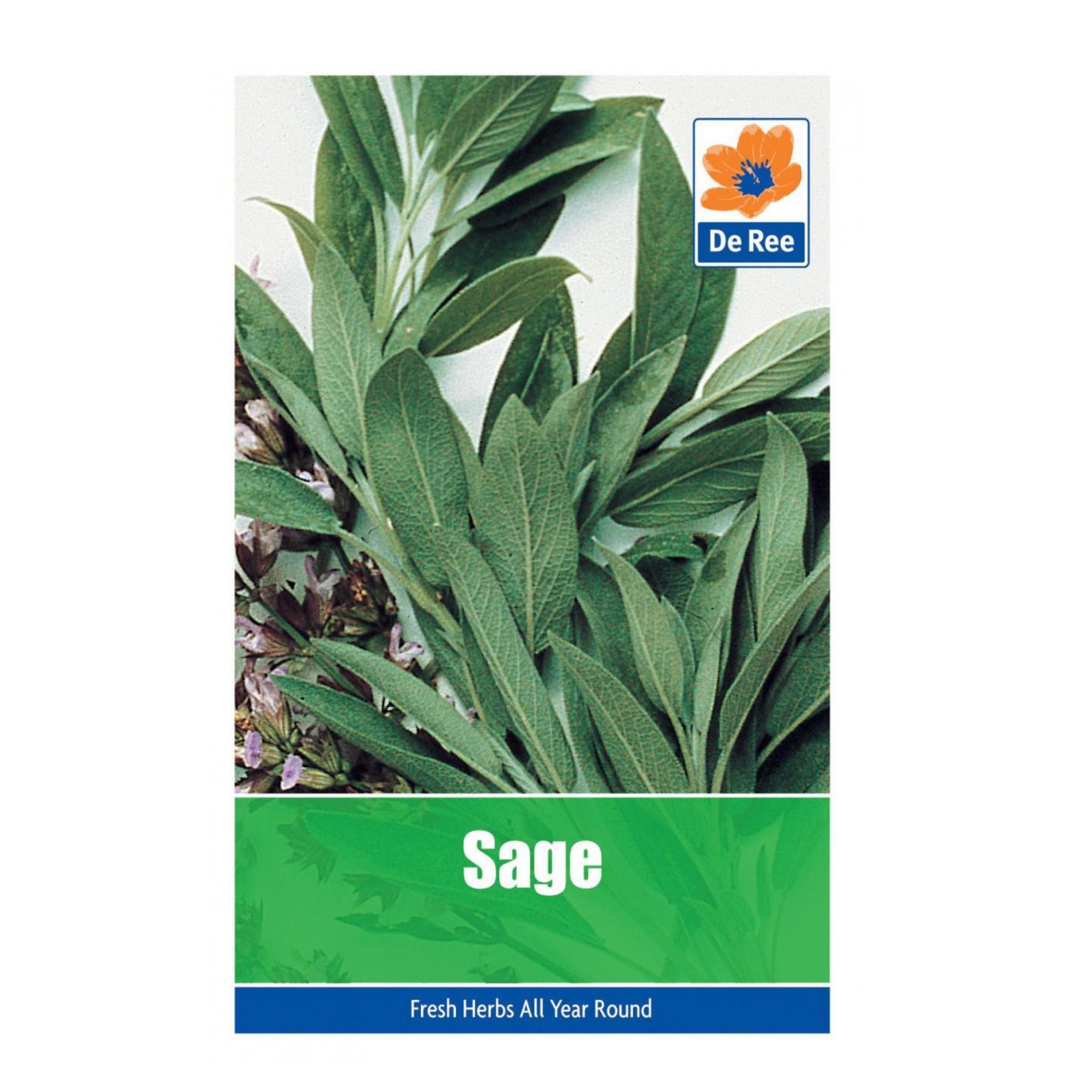 Sage