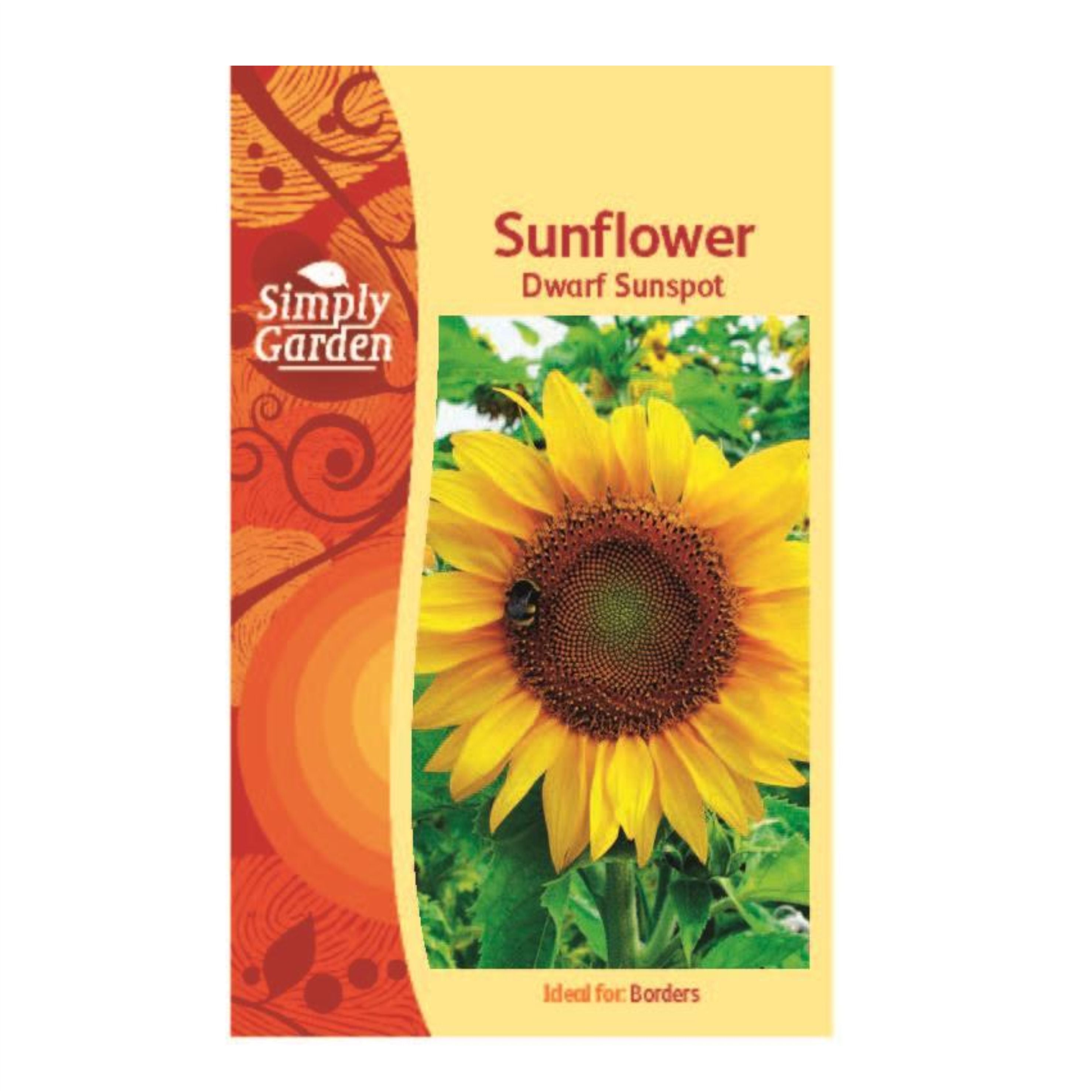 Sunflower Dwarf Sunspot